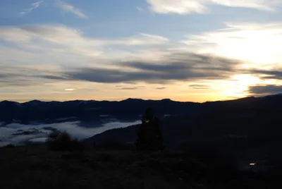 DSC_0706 (Large).JPG